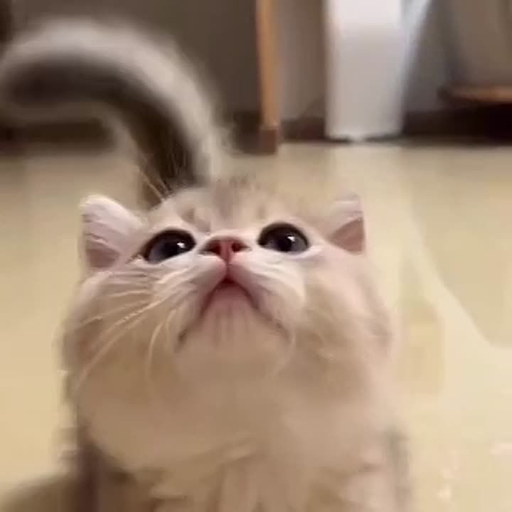 ������, � �� ���������� ��� �������!