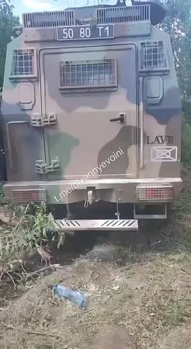 ������������ ��������� ��������������� Lavr ��� ���-�� �� ������
