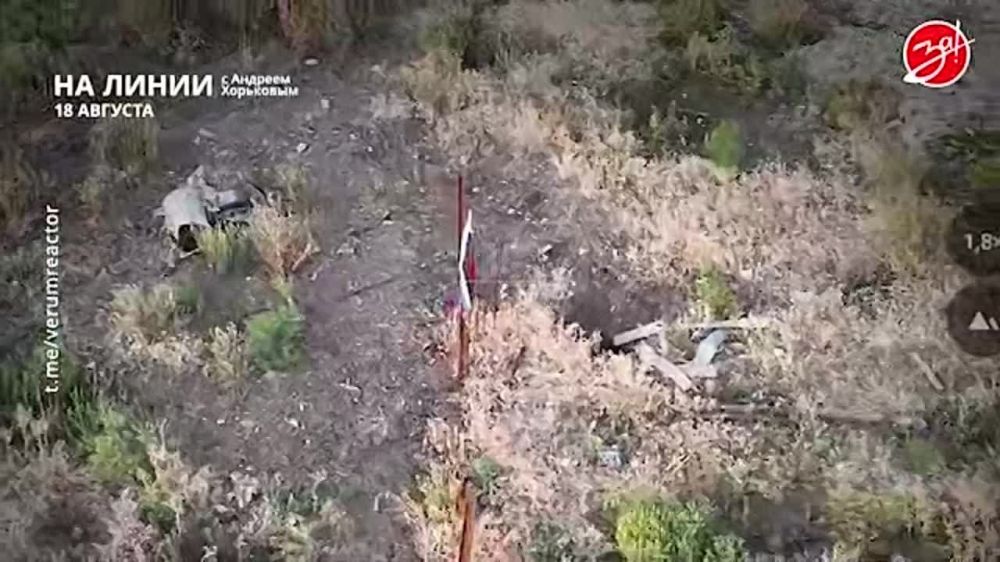 ��������� ���������� �� ������ ������ � ������� ��������� � ��������� ��� ����� | 18 �������