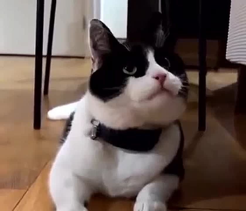 �������, ���� ������� �������-�� ������ ������� ����� � ���� ��