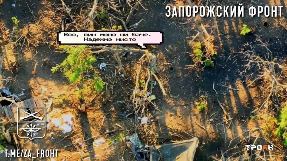 ����� �����: ����� ������ ������ ���������� ������ ����� 3 ��������� 247 ����� ��� �� �������� ���������� �� ����������� �����������