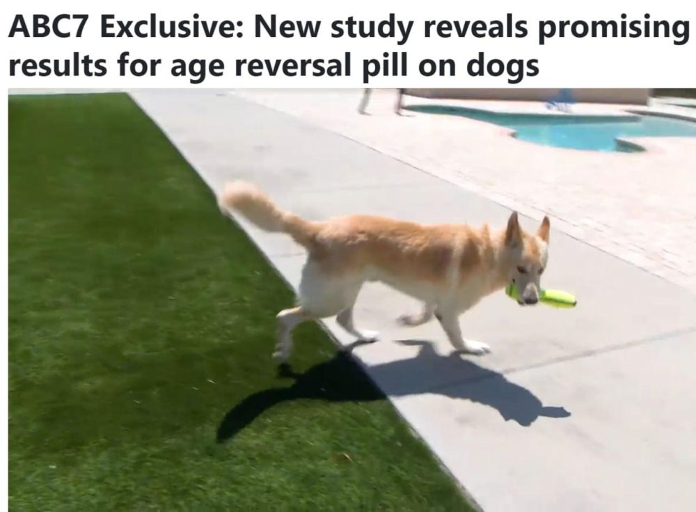 ������ ��������� ��������� �������� �����, ������� ABC7