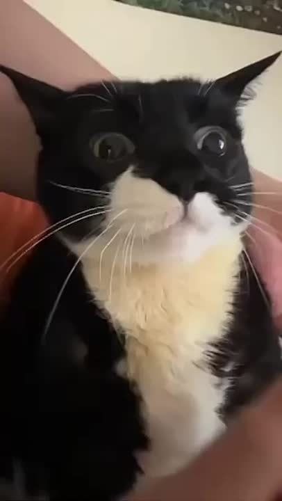 ����!. ��������� ��������!! �������������� ��