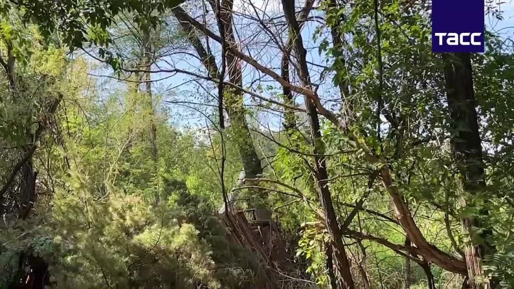 ������������ ���������� ���������� ����� ����������� � ������������ ������� �777 �� ������ ������ ������