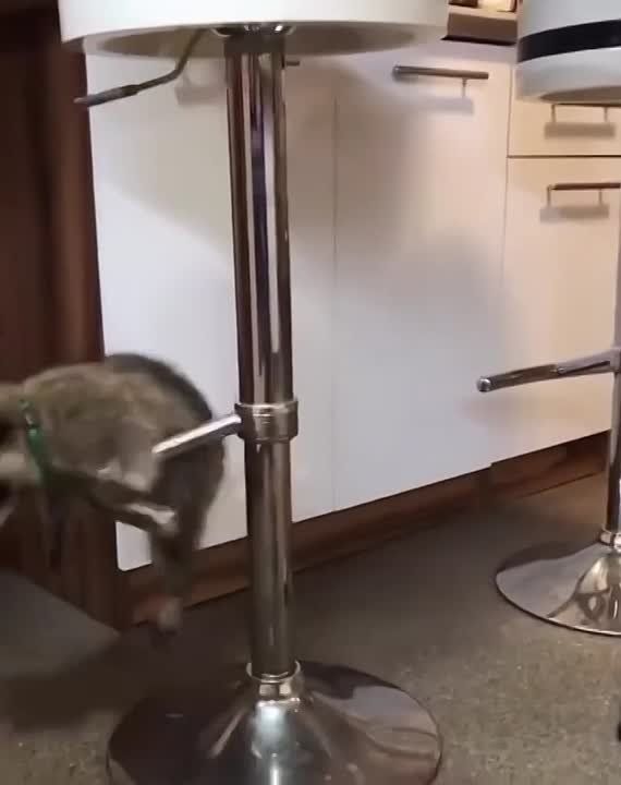 ������ ����, ������! �������� ��� ��� � ��������� ����������!