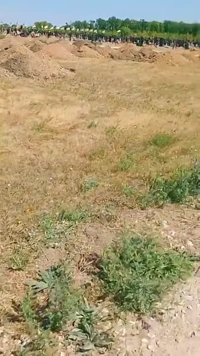 ������� ������� �������. ������� �������������� ������ ��� ������������ � ������� ������� �������� ���������� ������������