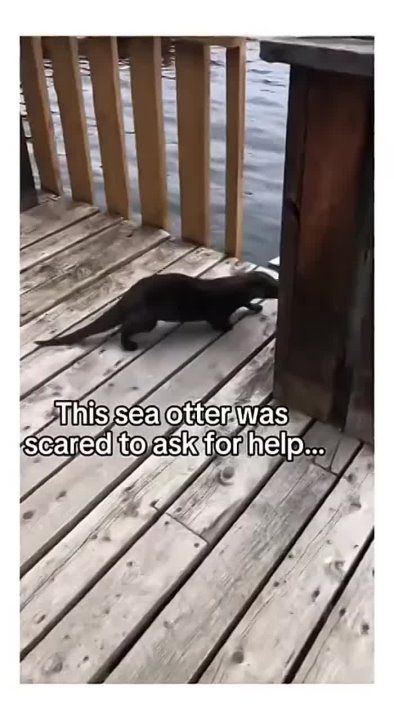����� ����� �������� ������ � �����, ����� �� ������� ��� ����� �� ���������� �����