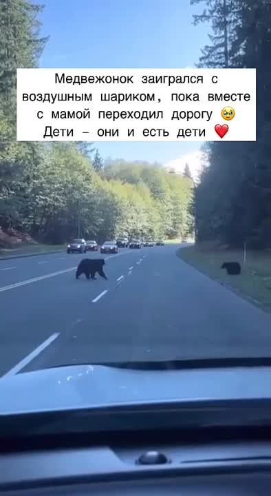 �������������� ��. ��������� ��������