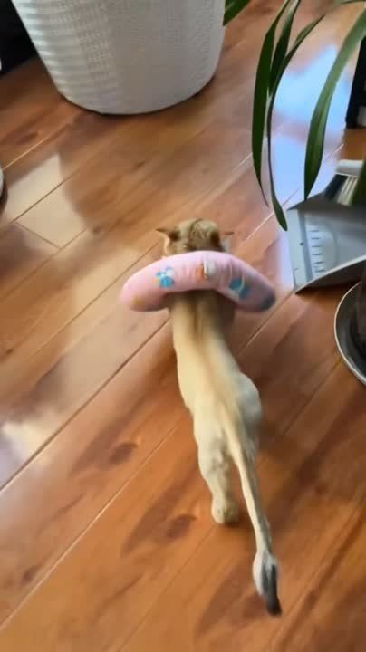 �������� ��������� � ������� �������!