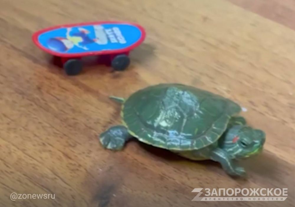 ��������� �� ����-������ �������� � �����