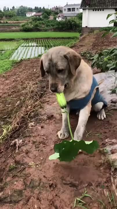 ����!. ��������� ��������!! �������������� ��