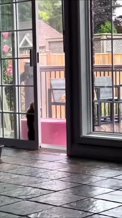 ������ ����!