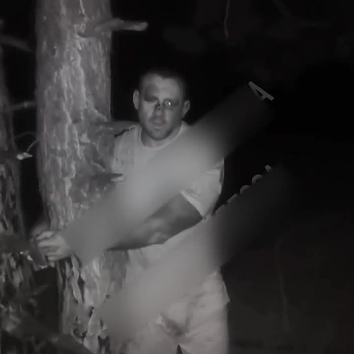 � ���������� ������� �������� ����� � ��������, ����������� ����������� � ������