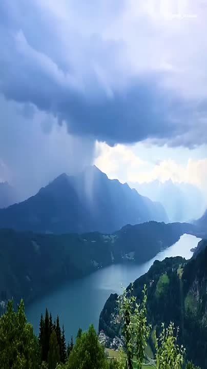 ����������� ����� �����, �������������� �� ����� ���������, �������
