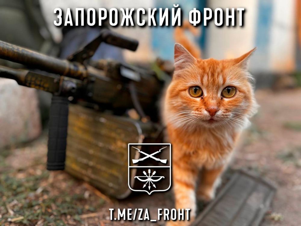 ���� ������� ���� � ������������ �����������