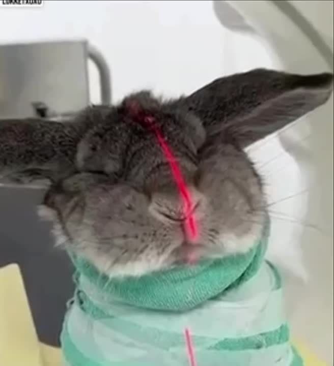 ������ �� ������, ��� ������ �� ��������