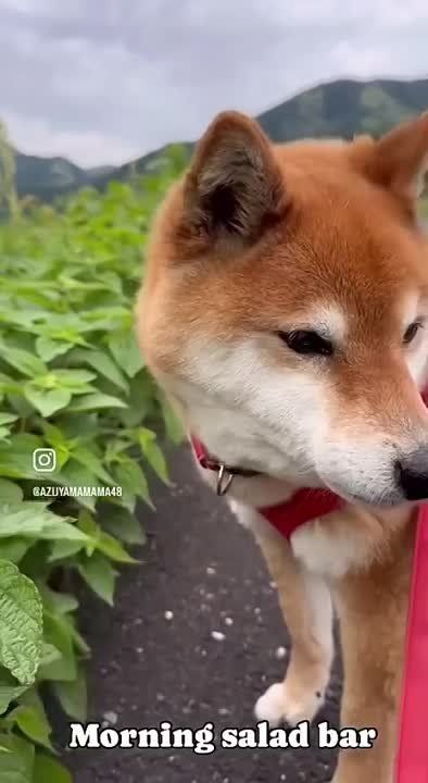 ����!. ��������� ��������!! �������������� ��