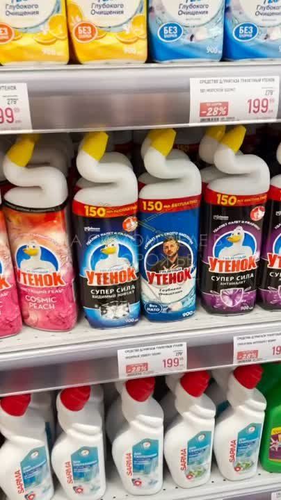 ��������� ���� ������������ ����������� �����