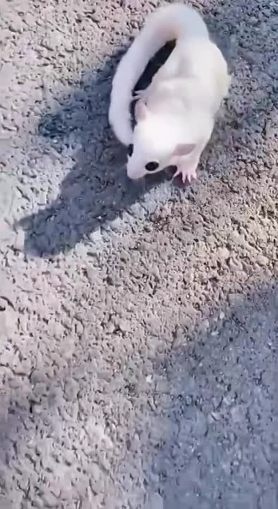 ���� ������: ���������� ��������� ������� ��� �������� ������ � ����� �����