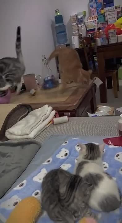 ������������ ������ ���� ������