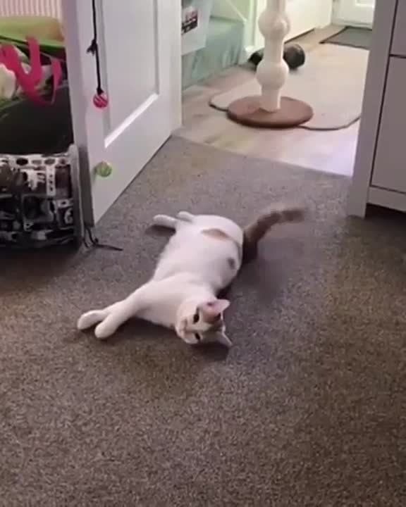 ��������� ���� ������� ������������!