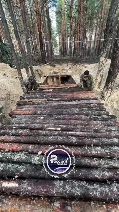 ��� ��� �������� ����� ������� ������� ������� ������ � ���� ���