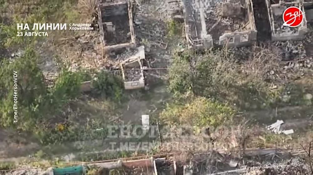 ��������� ���������� �� ������ ������ � ������� ��������� � ��������� ��� ����� | 23 �������