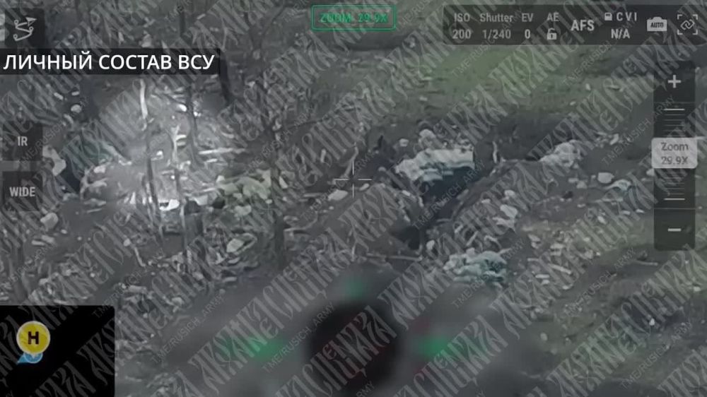 ������� ������� �������� �����������, �� ����� FPV-����� ����� ����� � ����, ��������� ���� ��� ����� ������