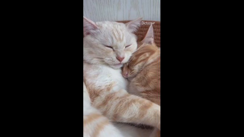 � ���� ��������� ������ �����, ������� ���� ���������� ����� � ������ � ������ �� ����������