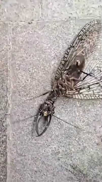 ��������� ��� �����, ����� ��� � ��������� ��� ���������, ��� "������� ��� ������"