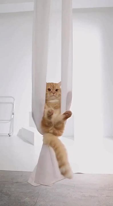 ���� ���� �������, ������ ���� ������