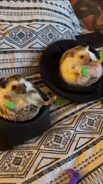 ��������� ���������� ���� � �������� ���� ������