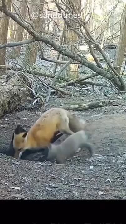������ ����������� �������, ��� ����-������ ��������� � ����� ���� ��������