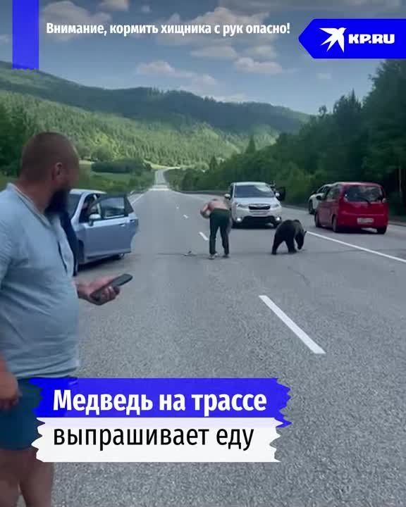 "��� ����� ���� ���, ������ � ��������"