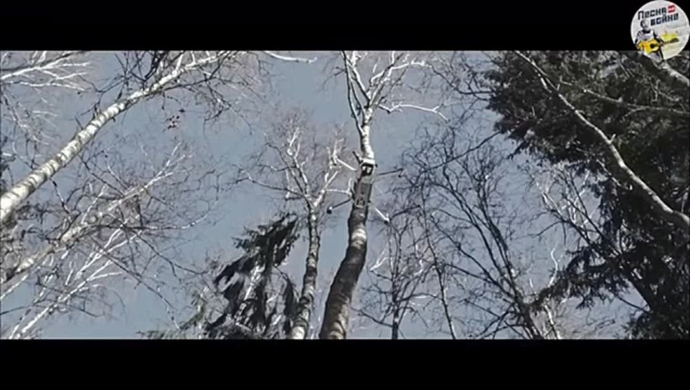 �������� � �������. ����� ������ ��� ����