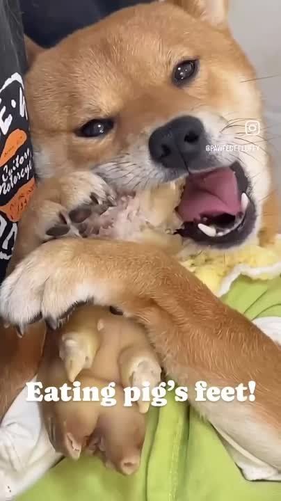 ����!. ��������� ��������!! �������������� ��