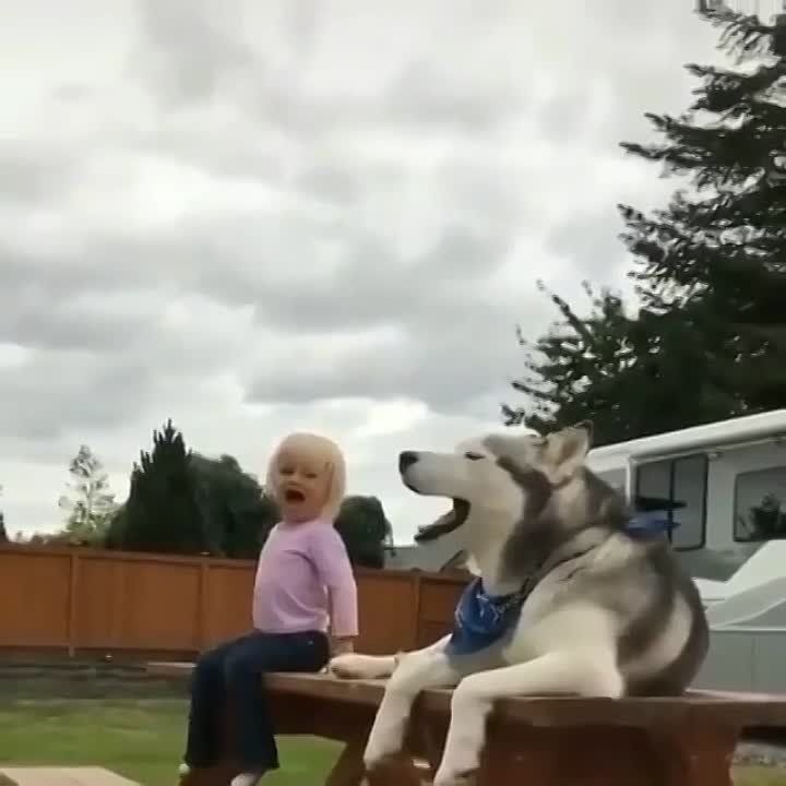 ������, ����� ����� ������ ���� ���, ��� ���������