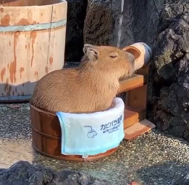 ����� �����������!. �������������� ��