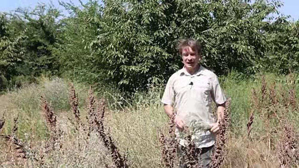 В Мелитополе строится областная детская больница