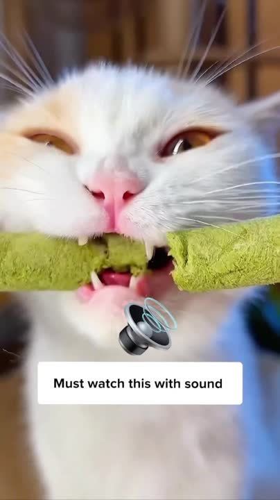 ����!. ��������� ��������!! �������������� ��
