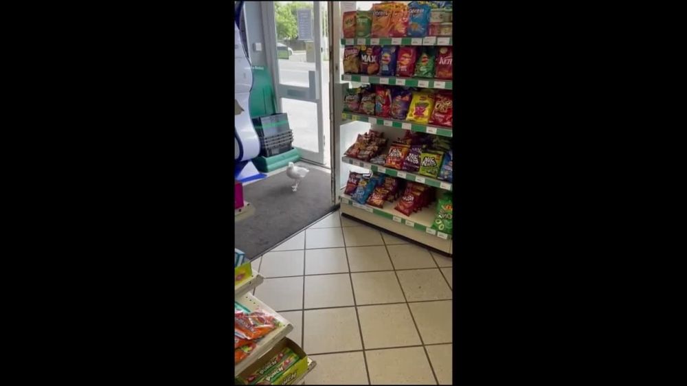� ������ ����� �� ����� ������ ������ ����� 30 ����� ������ �� ��������