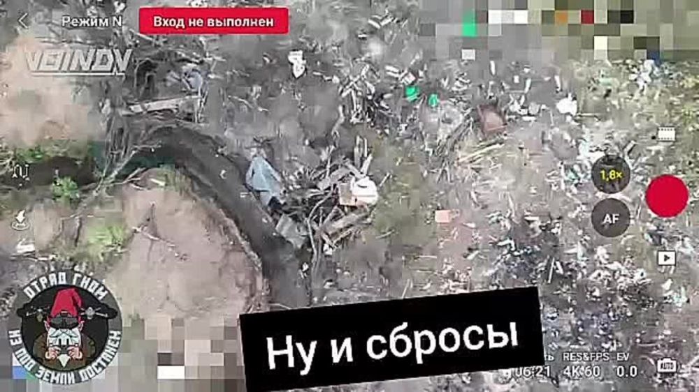 ����� �����: ���������� �� ������ ���� "����" � ������������ ������