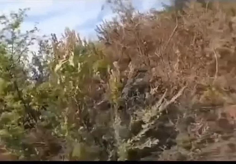 ��������� ���...����� � �� ���������