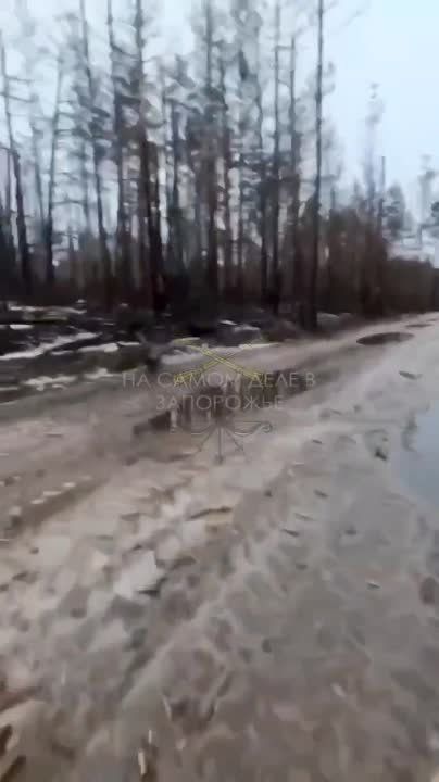 28 ������� � ������ ���������� ���� �������� �����, ���� ���������������� �������� �������� ������� ����������� �����������