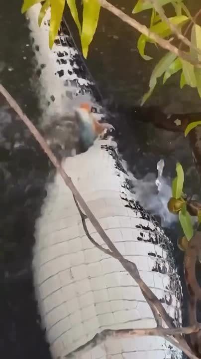 ����� ������� �� ������