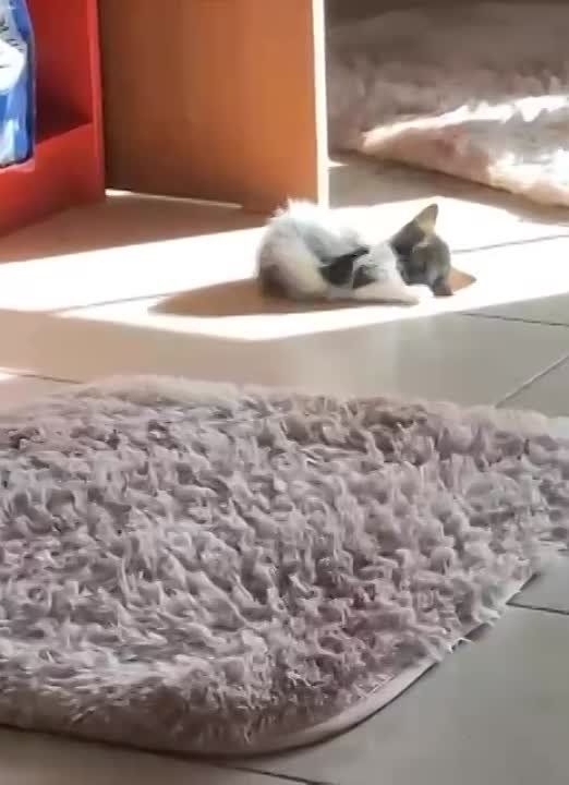 ������ ����, ������!. ����� �����������! �������������� ��
