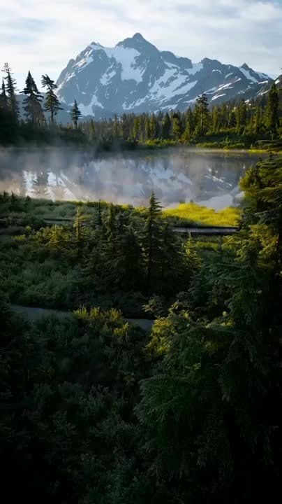 ������������ �����, ������ �����