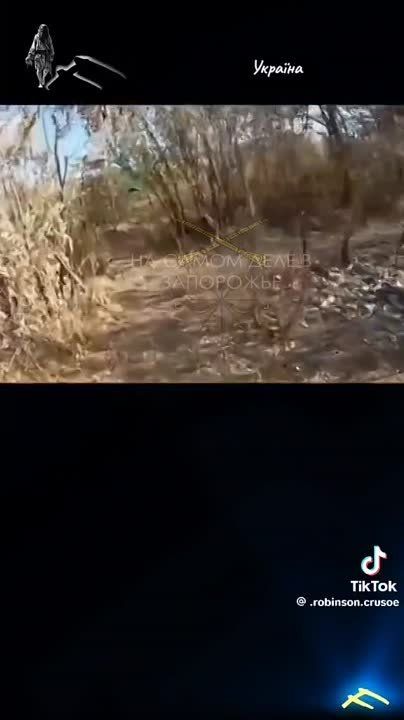 ����������� �����������