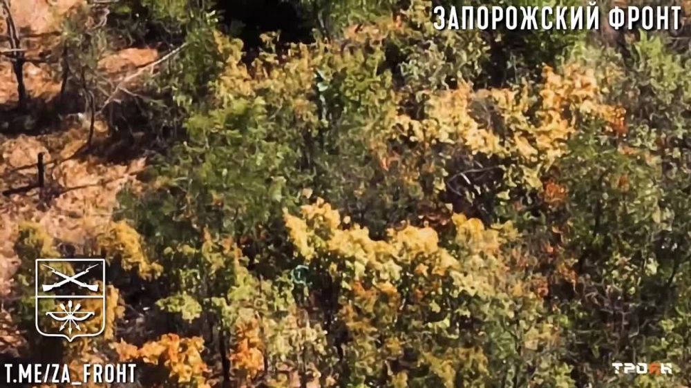 ����� ������ "�����" ���������� ������� ����� ���������� �� ����������� �����������