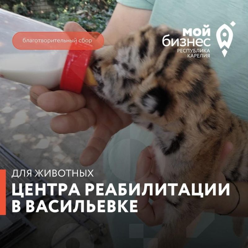� ������� �������� ������ ��� ������ ������������ �������� � ����������